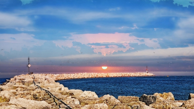 开元体育泰健 运动器材