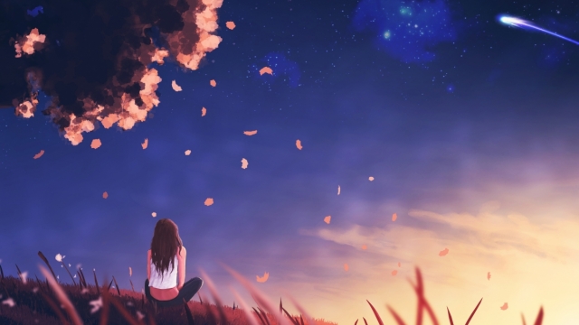 开元体育室内健身背部运动